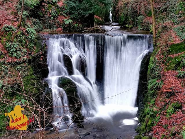 Alva Glen - Image 1