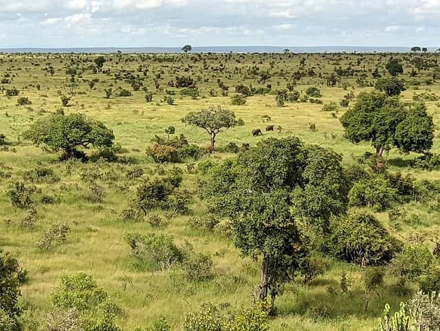 Mlondozi Picnic Site - Image 3