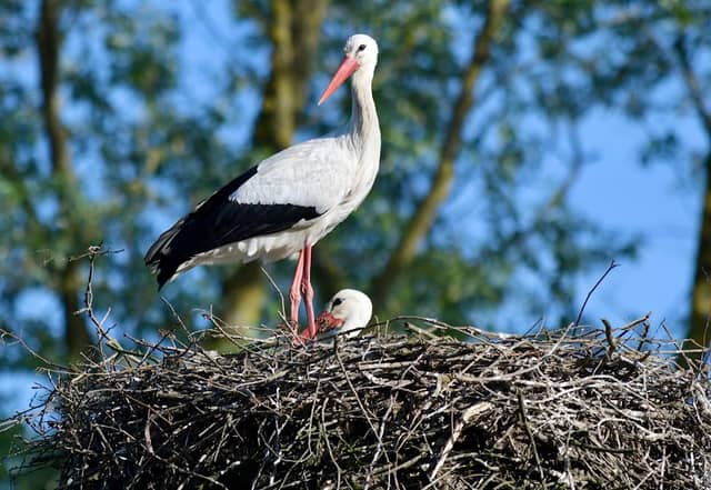 Parco Cascina Venara - Image 1