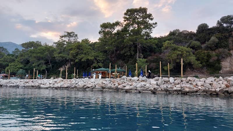 Moonlight beach - Image 1