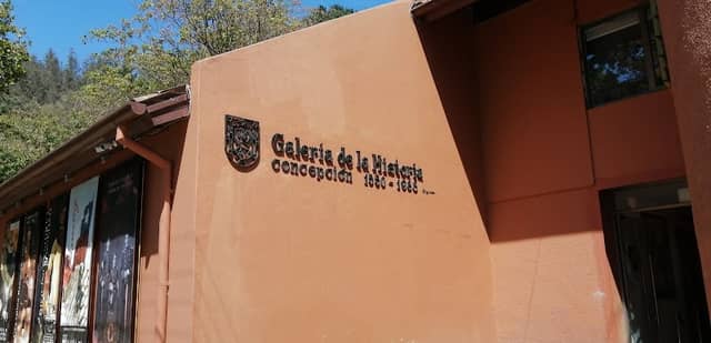Galería de la Historia de Concepción - Image 2