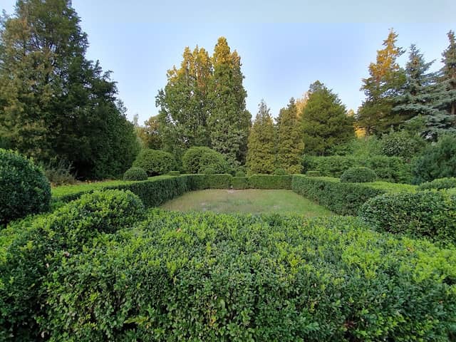 Syretsʹkyy Dendrolohichnyy Park - Image 2