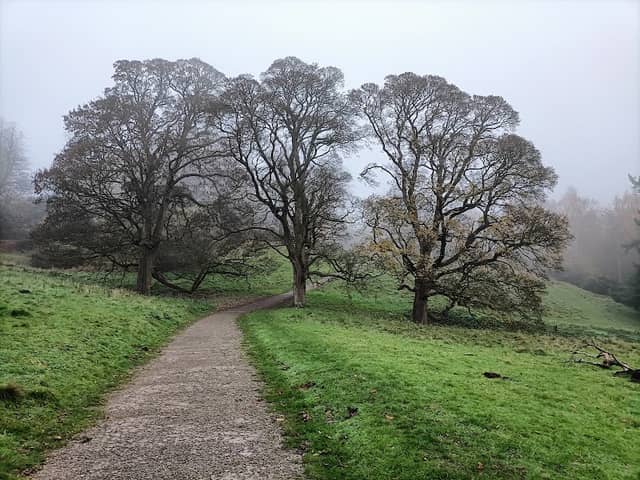 Hawarden Old Park - Image 1
