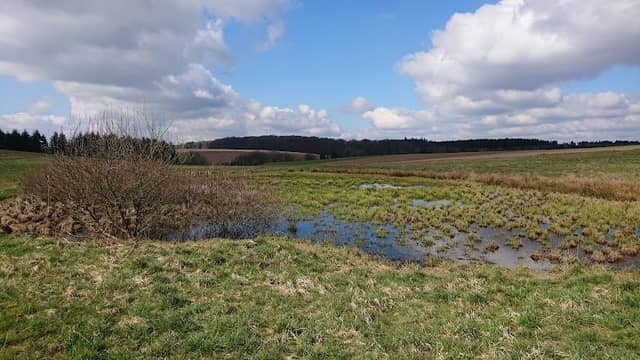 Hitsche Maar - Image 1