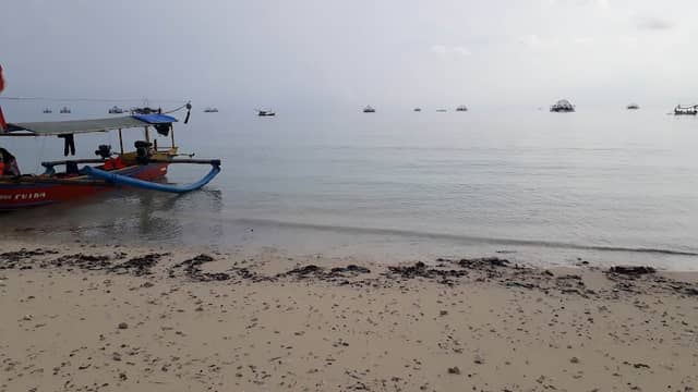 Blue Bay - Image 1