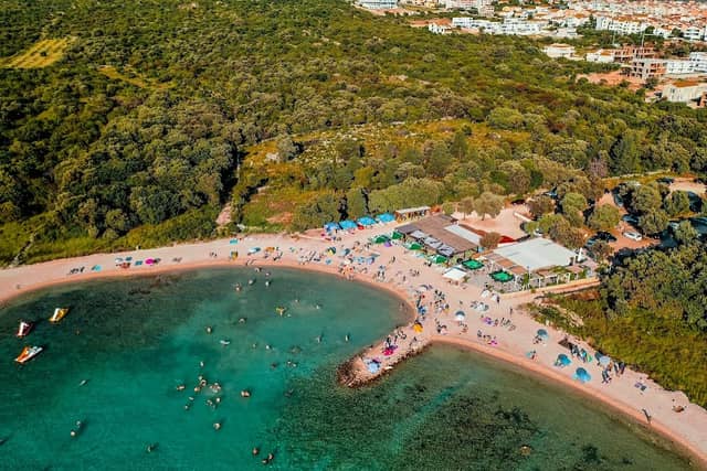 Babe Beach - Image 1