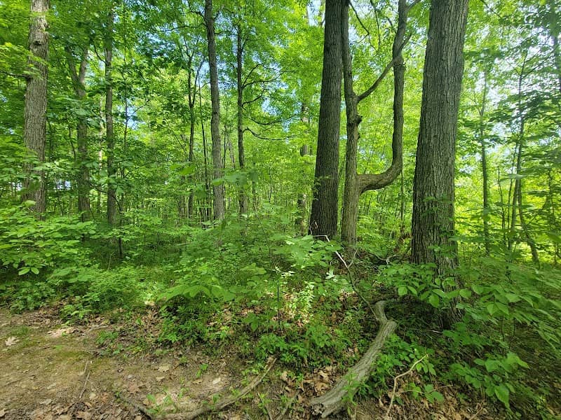 Deniston Resource Area - Image 1