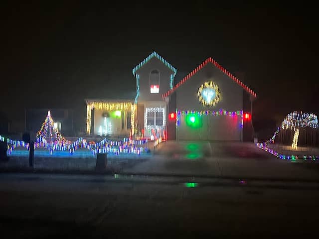 Davis Family Light Show - Image 1