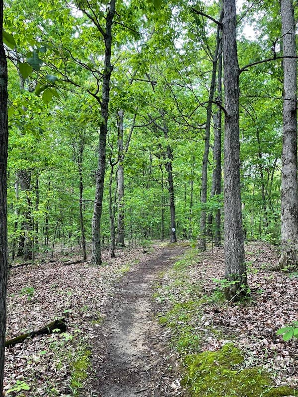 Canal Loop Trailhead at North Welcome Station - Image 2
