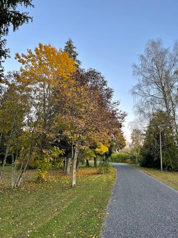 Gagarini park - Image 2