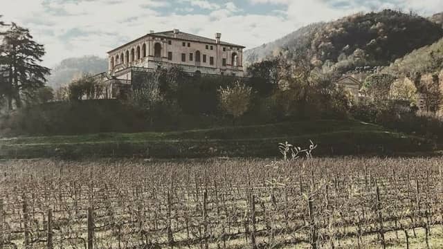 Villa dei Vescovi, Luvigliano - Image 1
