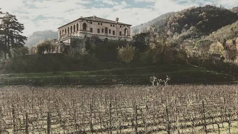 Villa dei Vescovi, Luvigliano - Image 1