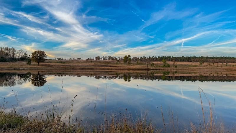 Carolina Sandhills National Wildlife Refuge - Image 3