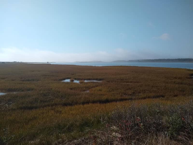 Cape Poge Wildlife Refuge - Image 1