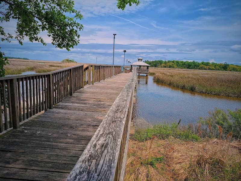 George W Martin City Park - Image 2