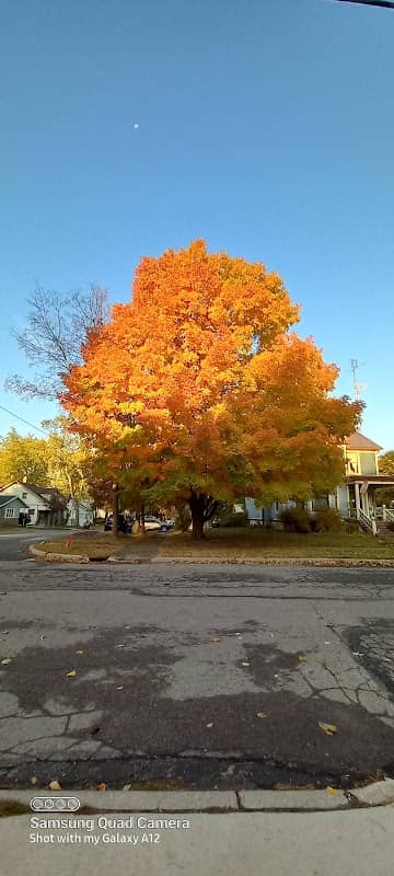 Main Street Park - Image 2