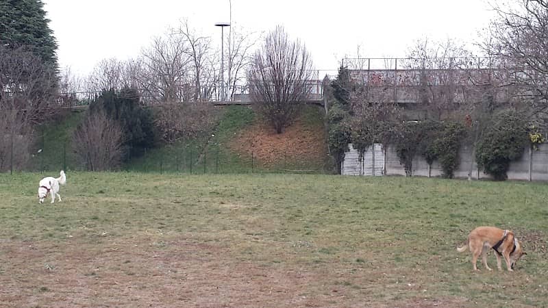 Area Cani - Image 1