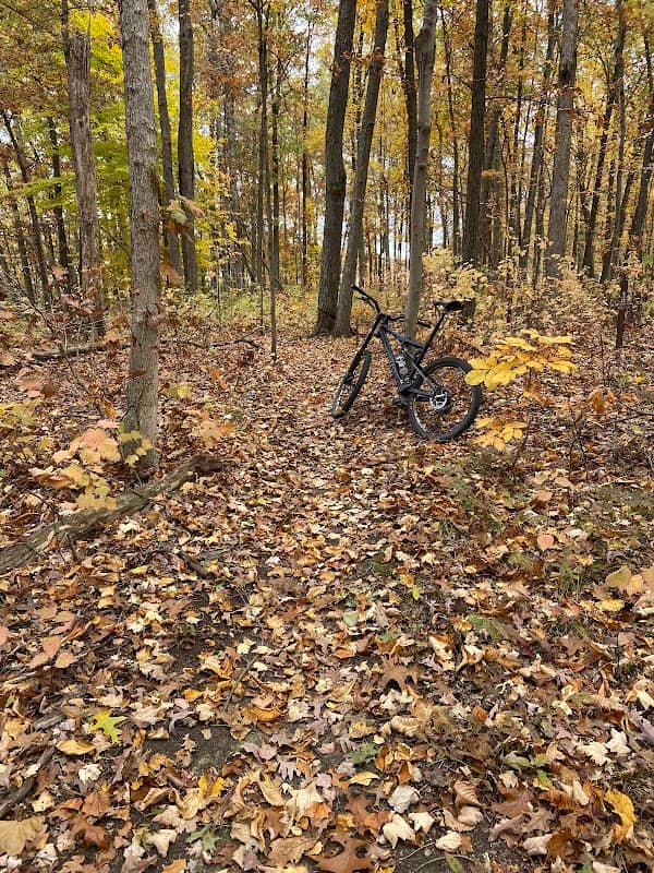 The Trails at Mill Pond. - Image 1