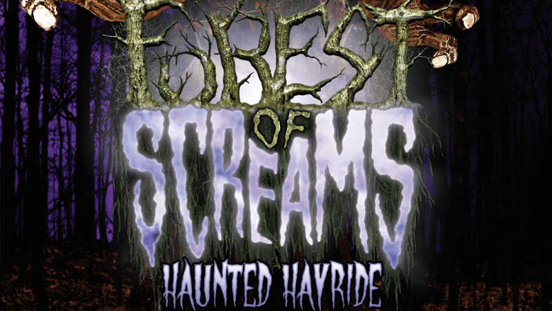 Forest Of Screams - Image 1