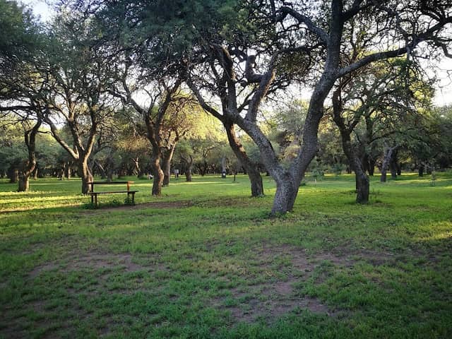 Jardin Botanico Provincial - Image 1