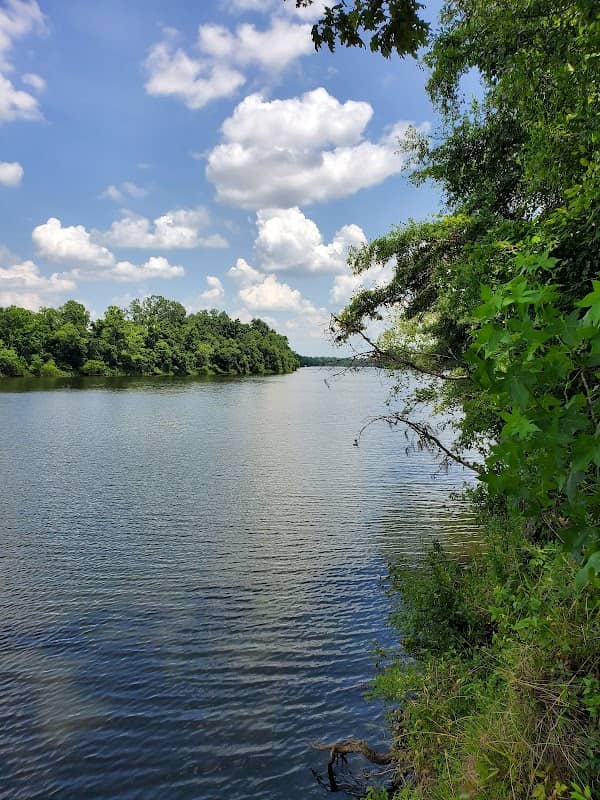 Neals Landing - Image 2