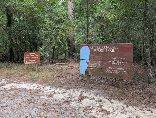 Little Ocmulgee State Park cabin - Image 1