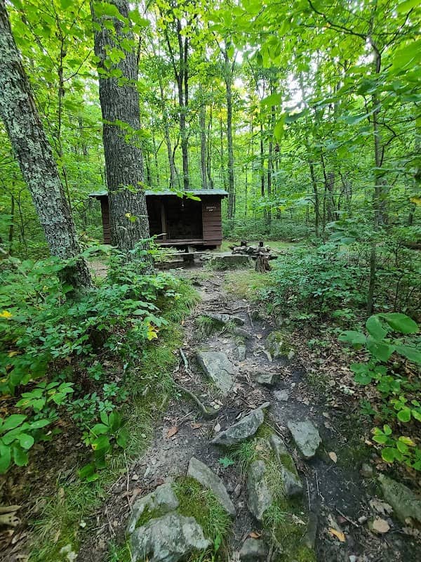 Bailey Gap Shelter - Image 1