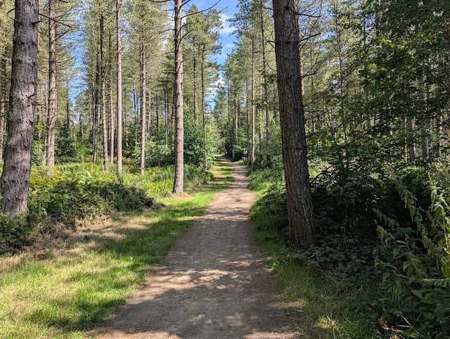 Greno Woods Nature Reserve - Image 1