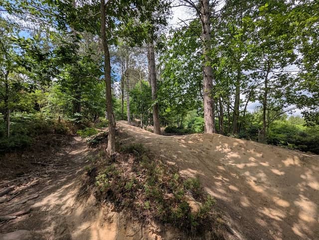 Greno Woods Nature Reserve - Image 2