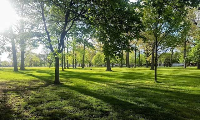 Clawson City Park - Image 1
