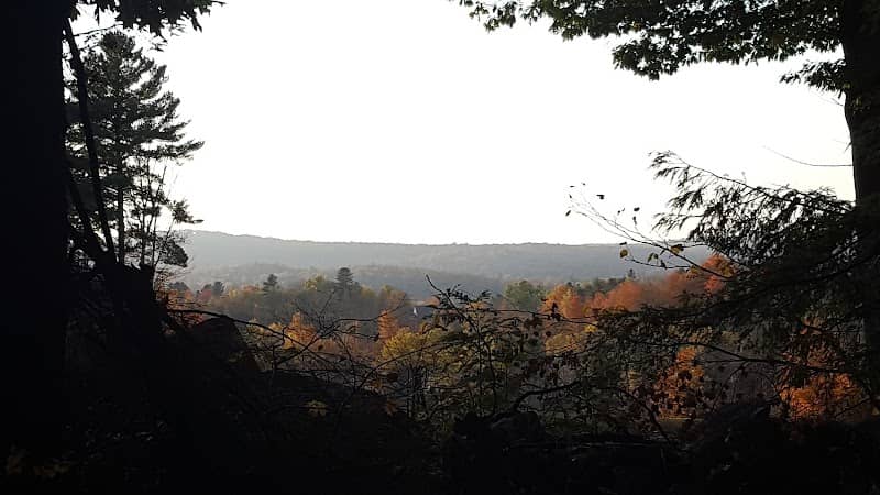 Memorial Forest - Image 1