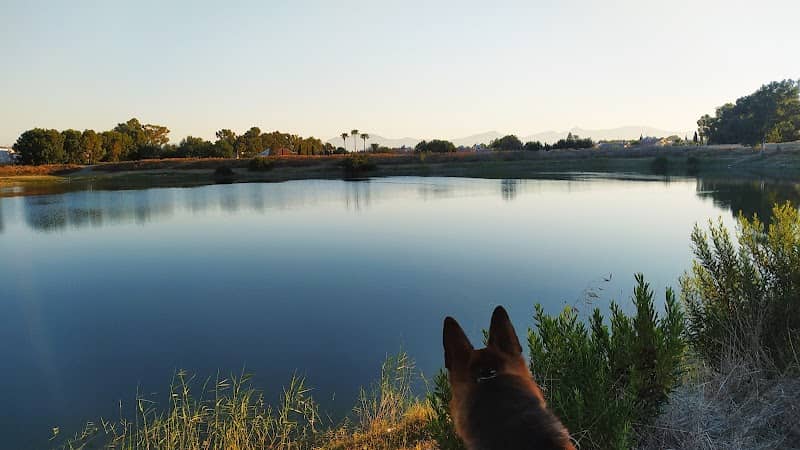 Maglee Lake - Image 2