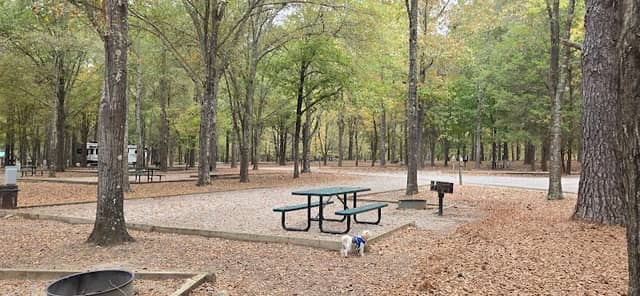 Parks Ferry Campground - Image 1