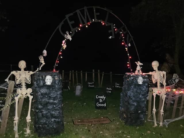 McGinnis Family Lights - Image 2