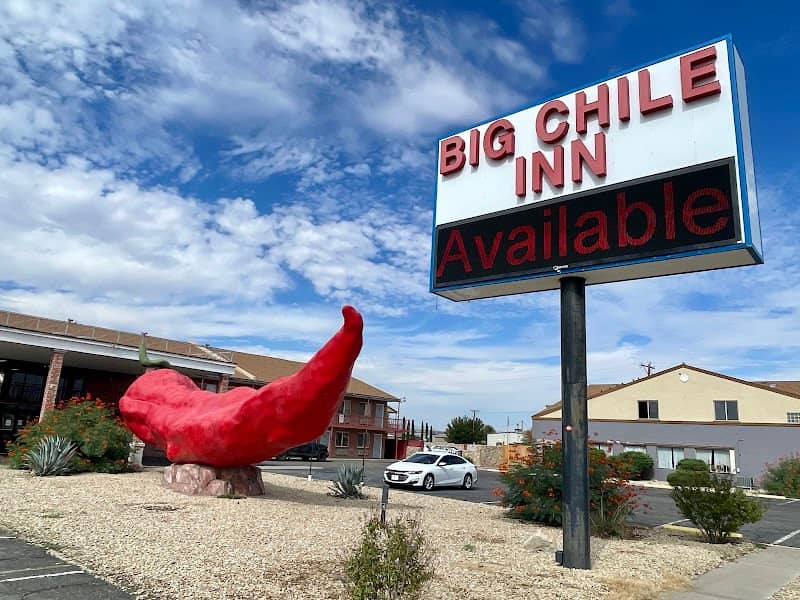Worlds Largest Chile Pepper - Image 2