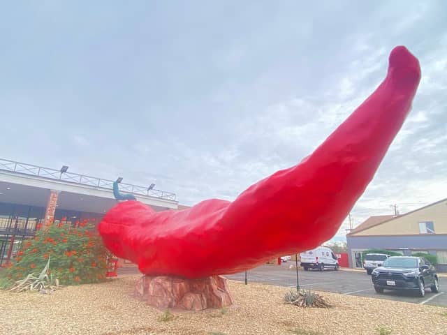 Worlds Largest Chile Pepper - Image 1