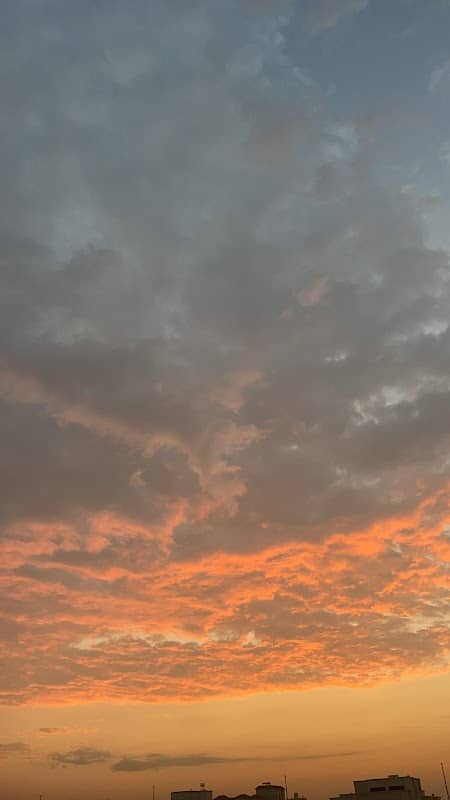 ممشى شخبوط - Image 1