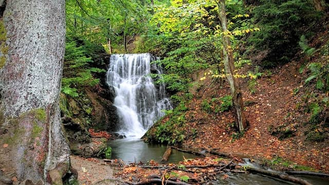 Zorger Wasserfall - Image 1