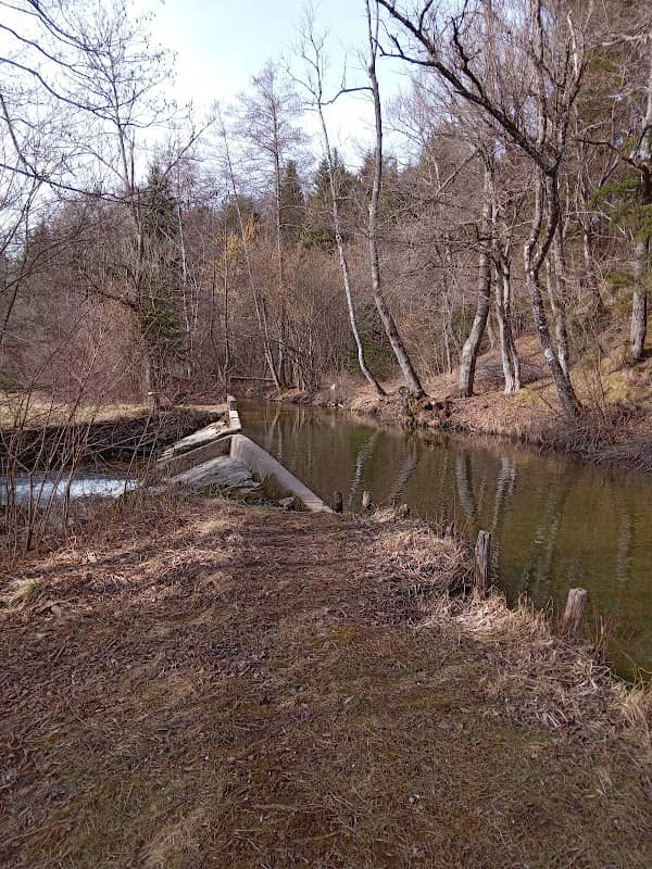 Perunce - Image 1
