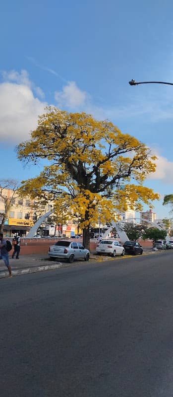 Arcos do Valão - Image 1