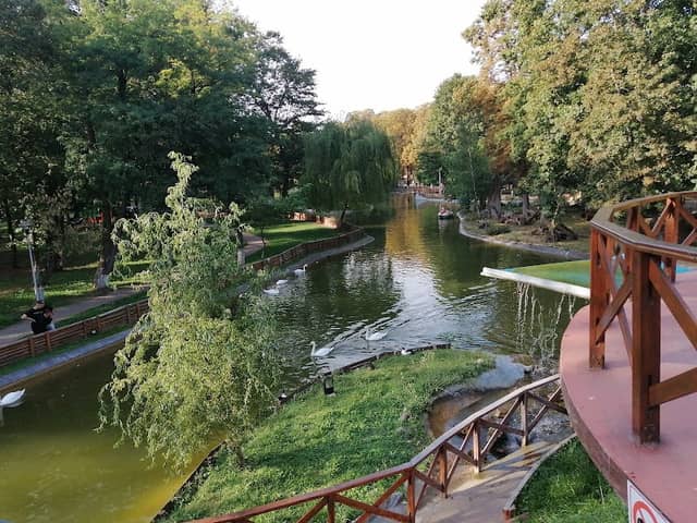 Insula de vară pentru păsări - Image 1