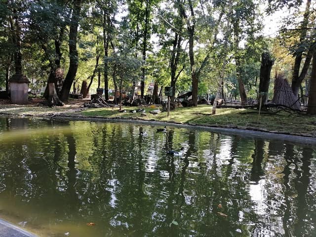 Insula de vară pentru păsări - Image 2