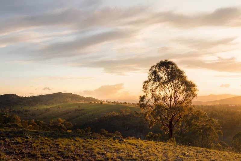 Palmer Hill - Image 2