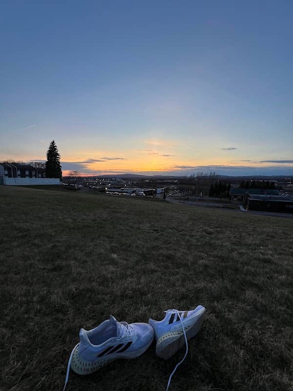 Sunset Tremblay - Image 1