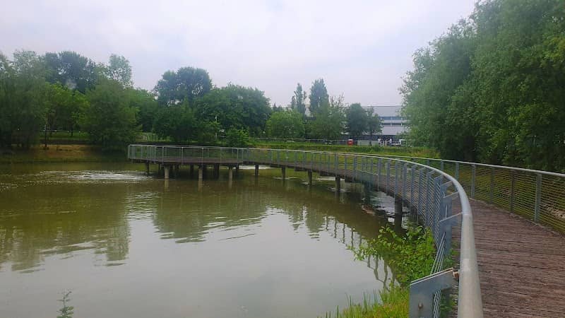 Laghetto - Image 1