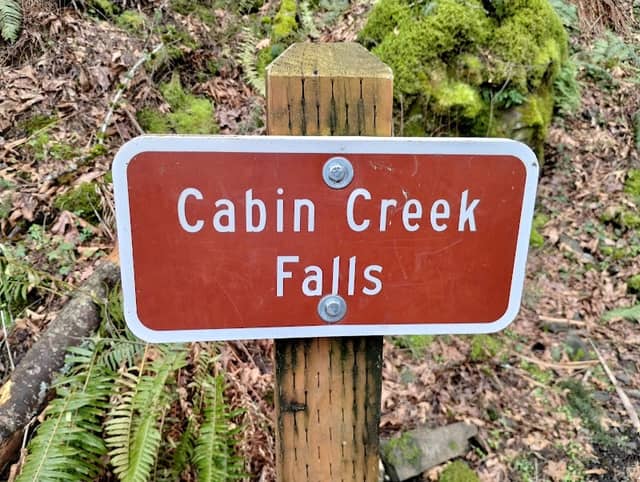 Cabin Creek Falls - Image 3