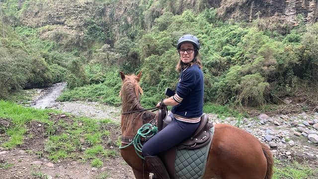 Centro VIVA CABALLO - Image 2