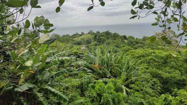 Imuruan Viewpoint - Image 3