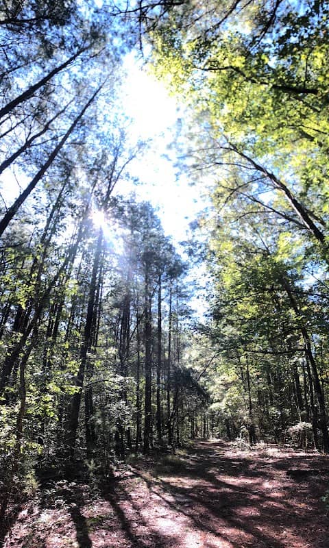 Hatcher's Run Battlefield - Image 1