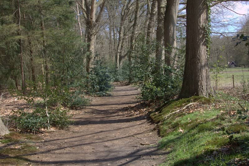 Moersbergen - Image 2